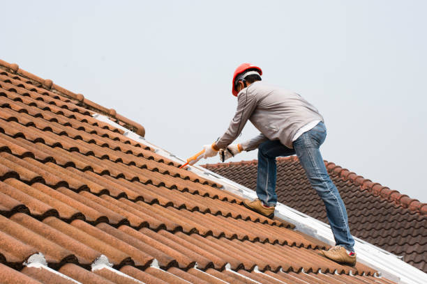 Best Roof Moss and Algae Removal  in Keedysville, MD